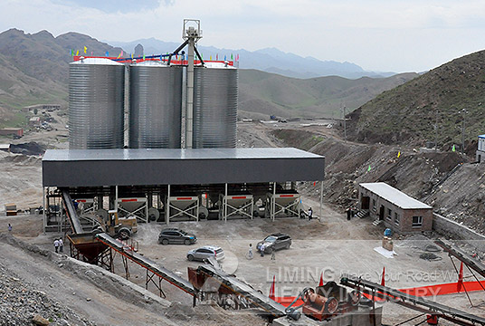 石家莊熱電廠石灰石脫硫項目